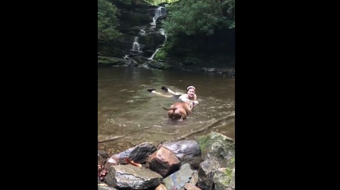 Dog Practices Saving Owner From Drowning And Passes With Flying Colors