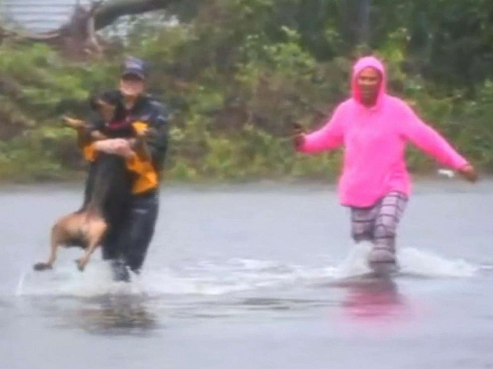 Reporter stops broadcast to help woman rescue therapy dog from flood waters