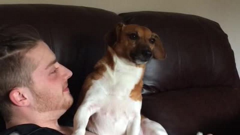 Puppy Is Not Sure How To React To Owner’s Raspberries
