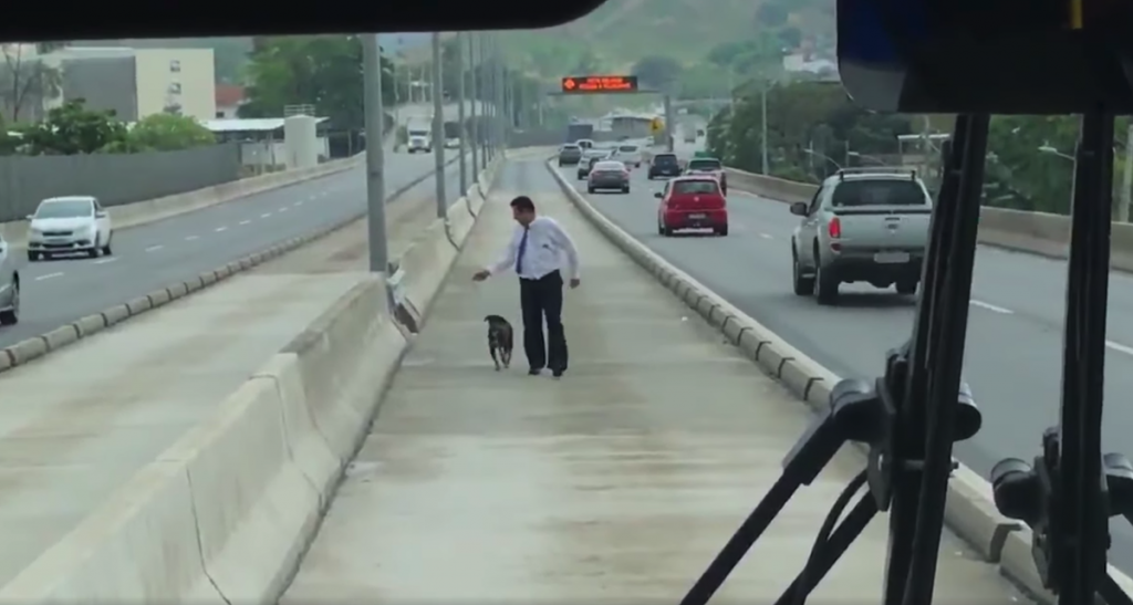 Bus Driver Pulls Over, Walks Toward Dog In The Middle Of The Highway