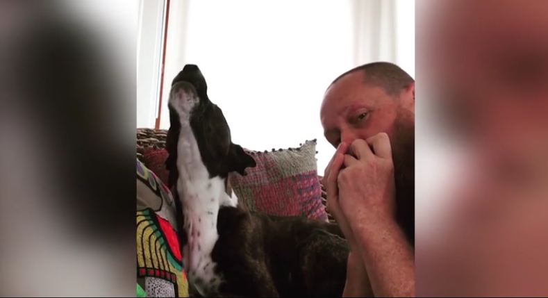 Dog sings the blues to the sound of owner’s harmonica