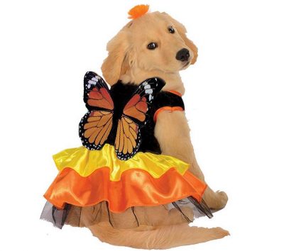 Monarch Butterfly Pet Costume