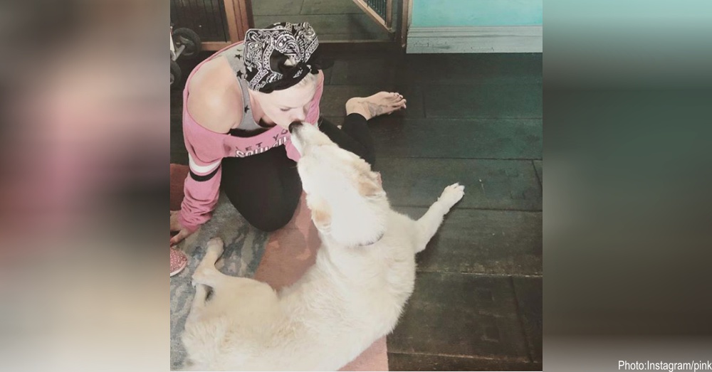 Pink Mourns Loss Of Beloved Dog