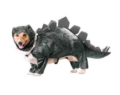 Stegosaurus Dog Costume