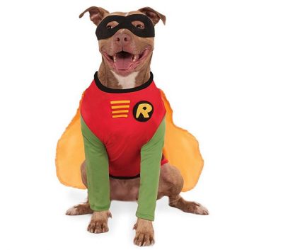 Robin Pet Costume