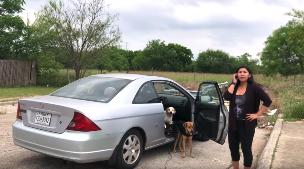 Good Samaritan Follows Dog Dumper Into Vacant Lot And Confronts Her On Camera