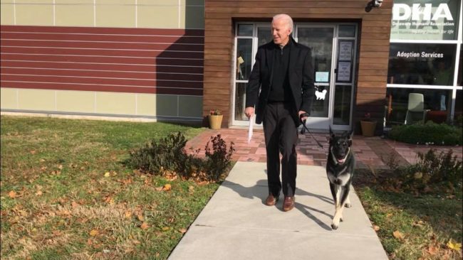 Former Vice President Biden adopts shelter pooch