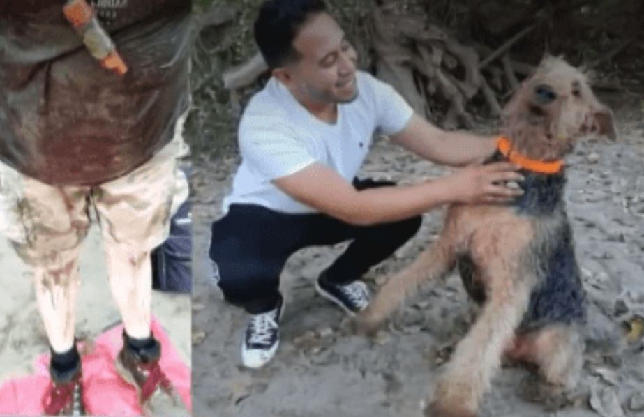 Good Samaritan saved woman and her dog from drowning