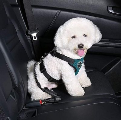 SlowTon Dog Car Harness Plus Connector Strap