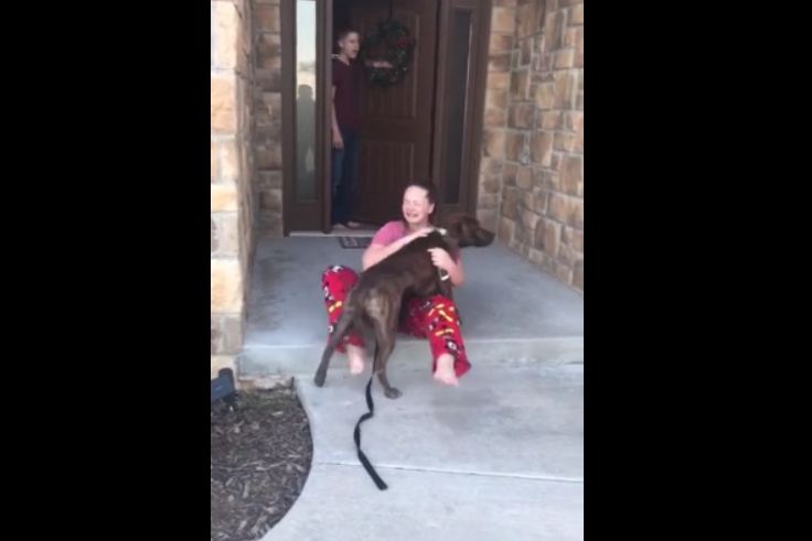 Parents Surprise Daughter With Shelter Dog She Was Caring For But Thought Got Adopted