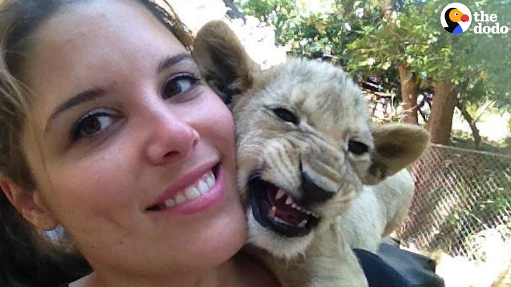 Woman Returns To South Africa To Save Her Favorite Lion