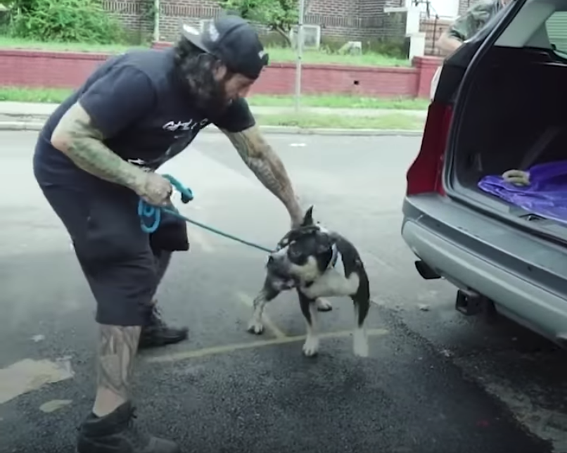 Bank Evicts Family From Home, And In The Basement They Find A Dog