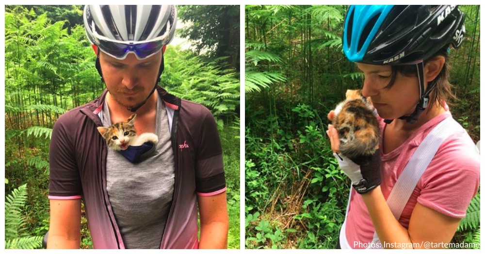 Tiny Kitten Rescued By Cyclists