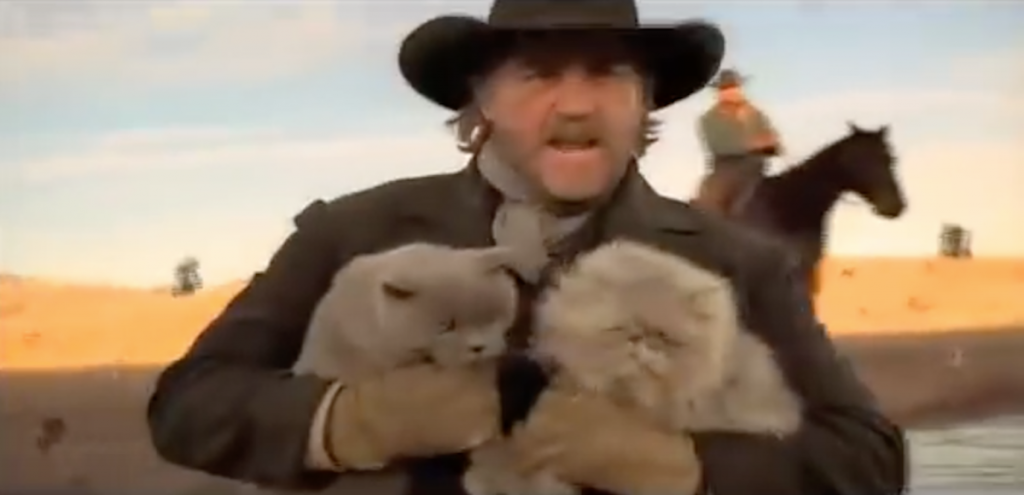 Cowboys Herding Cats Clip Makes For A Well-Spent Minute Of The Day