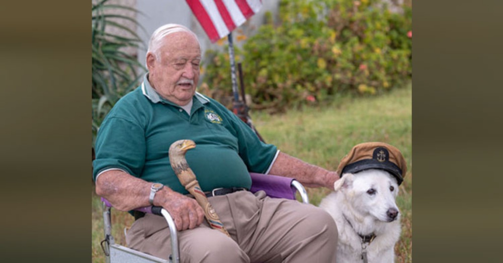 Veteran Found Out Senior Dog Was Days From Euthanization & Begs To Bring Him Home.