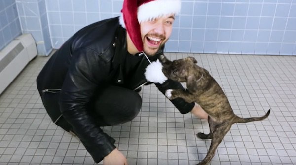 Animal Shelter Puts On Magic Show For Dogs To Help Them Find Homes