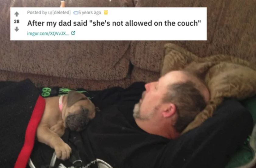 20 People Who Didn’t Want The Pets But Eventually Came Around And Then Some