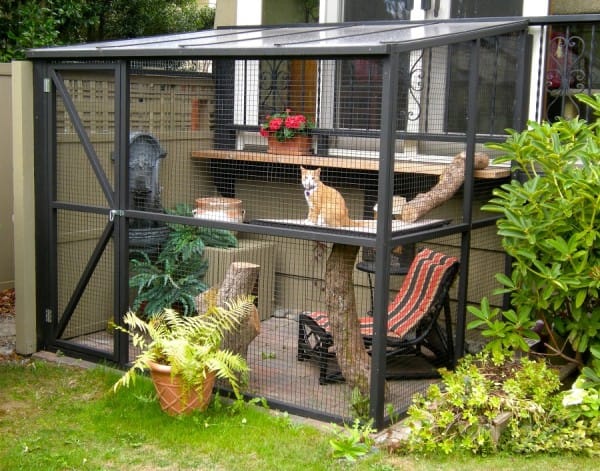 20 People Are Converting Their Patios Into Safe Outdoor Hangouts For Their Pets