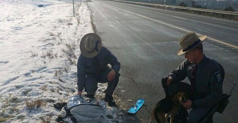 Trucker Slams The Brakes When He Spots It On The Roadside. Now The Police Are Begging For Help