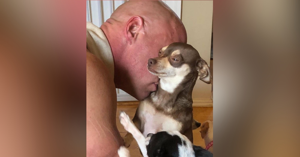 This Bodybuilder Once Disliked Small Dogs. That Changed After Unexpectedly Bonding With A Chihuahua