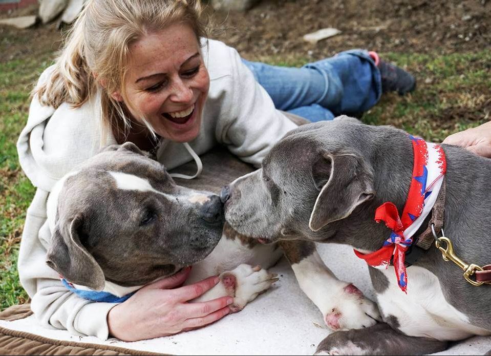 After 2 years in boarding, bonded dogs may have to go to the pound