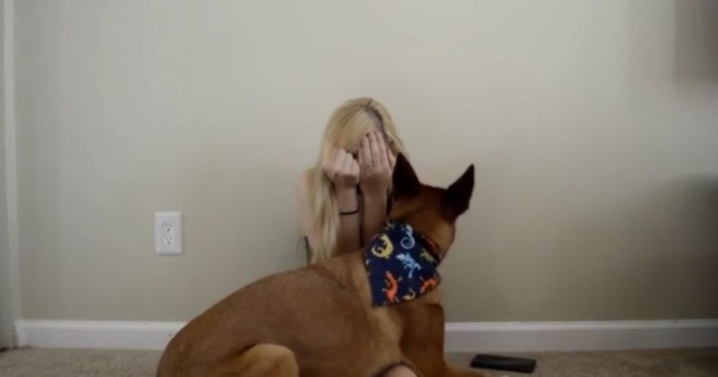 Service Dog Adorably Deals With Its Owner’s Anxiety Attack