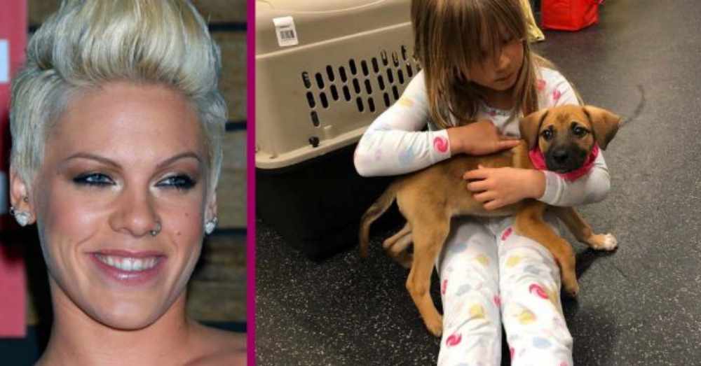 Singer Pink Recently Added A New Addition To Her Family