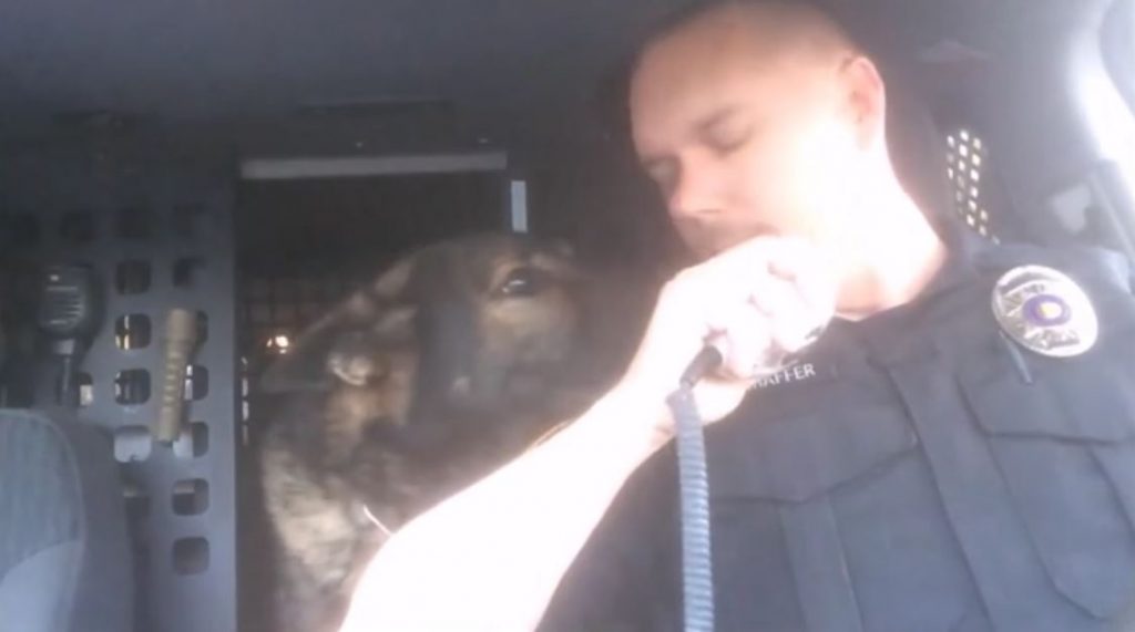 Officer Says Goodbye To K-9 Partner With Final Radio Call