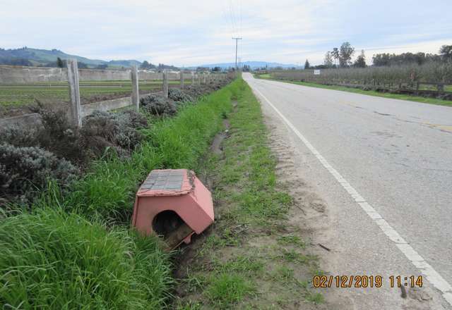 Dog Abandoned In Her Doghouse On Side Of The Road Waited There For Help