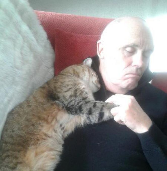 Man Recovering From Surgery Wakes To Snuggling Cat — But He Doesn’t Own A Cat