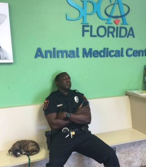 Officer Saves Puppy, Falls Asleep Waiting By Her Side After A Long Shift
