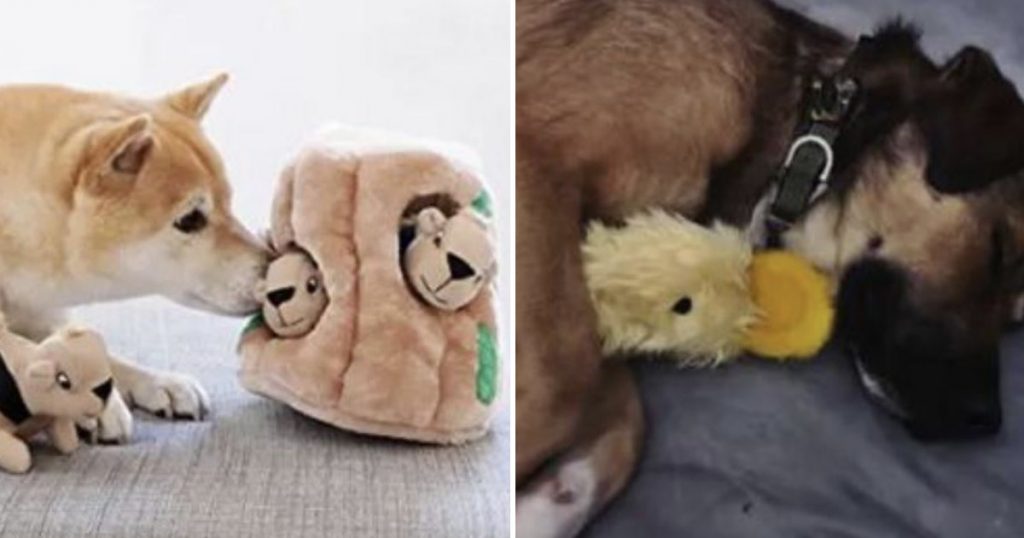 24 Awesome Pet Toys On Amazon That People Actually Swear By