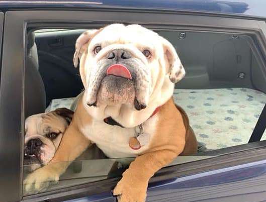 Coffee Shop Worker Takes Pictures Of Her Favorite Drive-Thru Customers