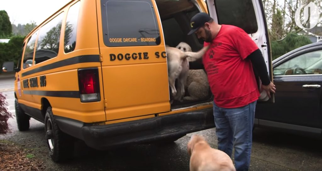 Doggie School Bus Picks Up All Of The Pups And Takes Them To ‘School’