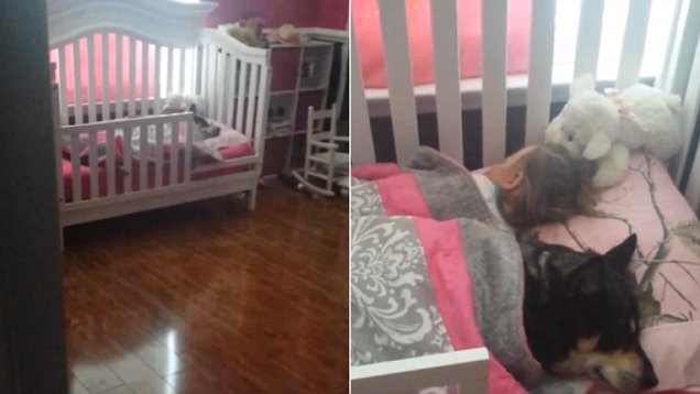 Mom Peeks In Bedroom To See The Kid Isn’t The Only One Sleeping In The Crib