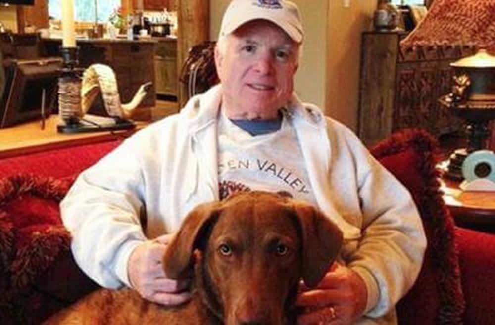 John McCain’s family dog tragically drowned when stuck in pipe