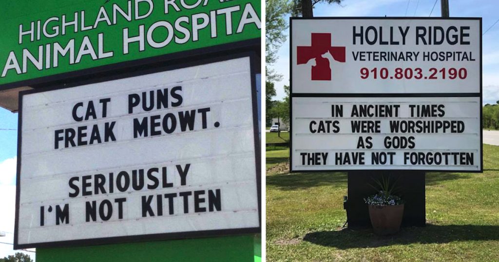 16 Cat Signs From Vets With Great Senses Of Humor