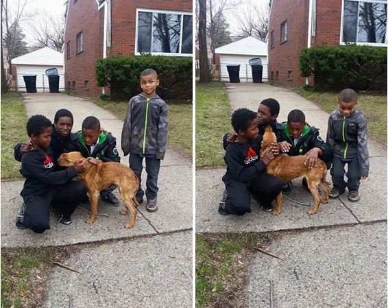 Abandoned Dog Tied With A Bungee Cord Gets Rescued By Four Young Boys
