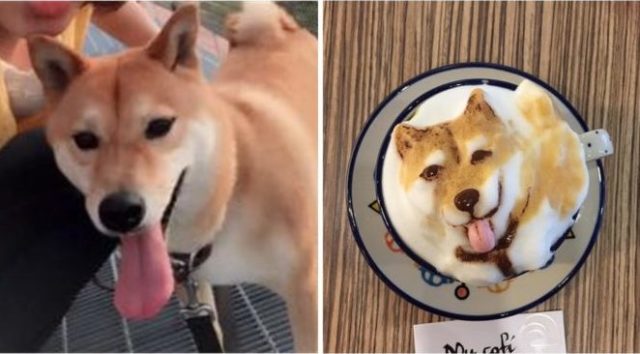 Taiwan Coffee Shop Creates Incredibly Realistic Latte Pup Portraits