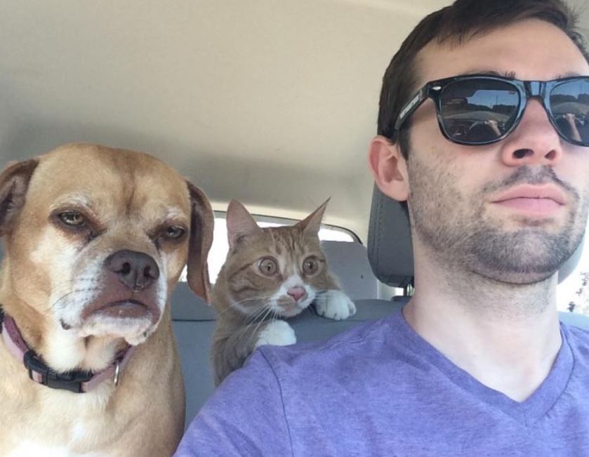 25 Dogs Who Just Realized They Are Going To The Vet