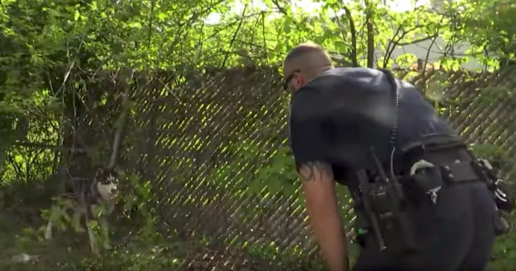 Cop Saves Dog Tied To A Fence On A Short Leash, Takes Him In As His Own
