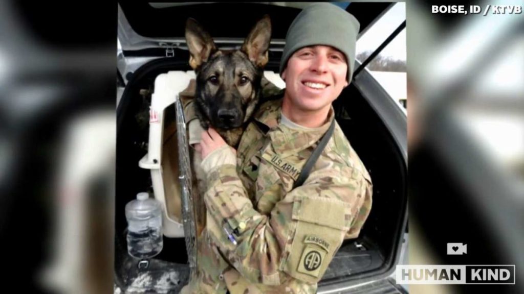 Army Veteran Nervously Waits To See If His Military Dog Will Remember Him After 3 Years Apart