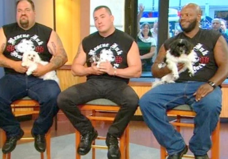 Biker Gang Destroys Dog Fighting Rings And Saves Animals From Cruel Owners