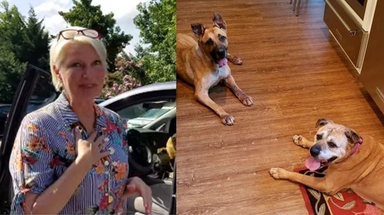 Woman Walks Into Shelter And Asks To Adopt Special Needs Dogs That Had Been There The Longest