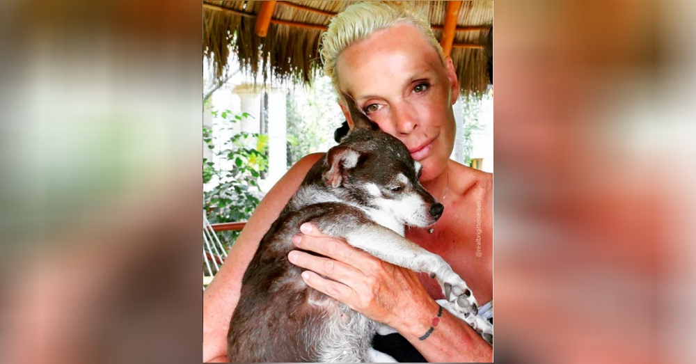 Brigitte Nielsen Mourns The Loss Of Her Rescue Dog, Tootsie, With A Heartfelt Post