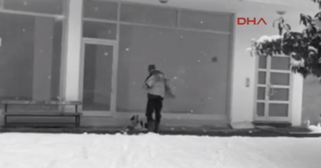 Stranger Spotted Giving The Coat Off His Back To Keep Stray Dog Warm