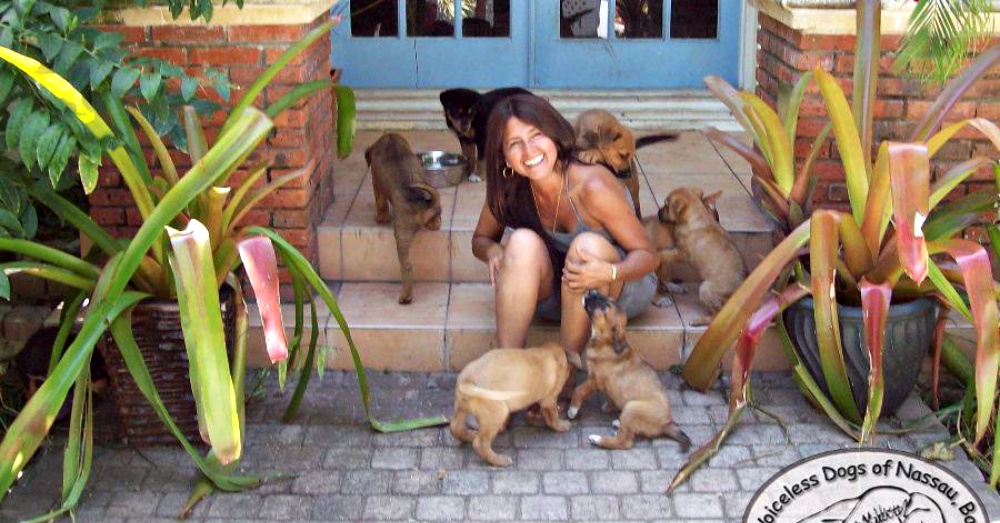 Woman Opens Her Home To 97 Stray Dogs As Hurricane Dorian Rips Through The Bahamas