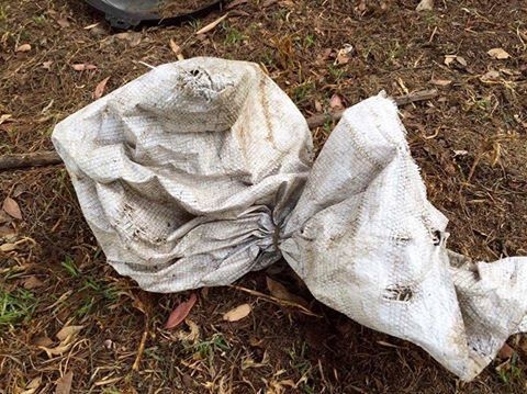 Bag Thrown Out In A Field Found With 4 Puppies Inside