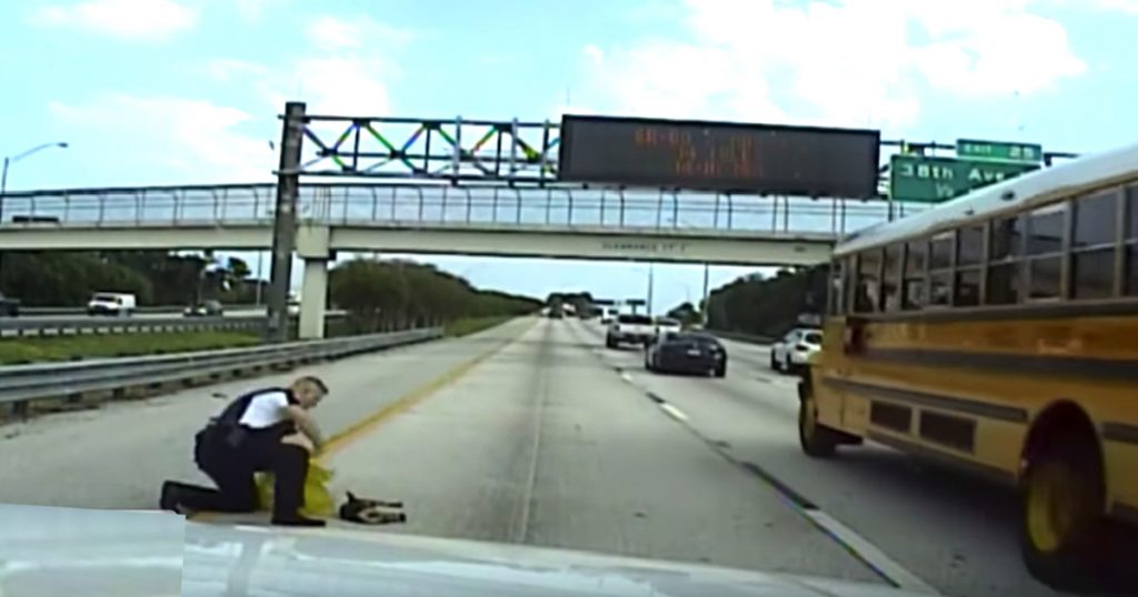 Cop Sees Dog Get Hit By Car Right In Front Of Him, Stops Immediately