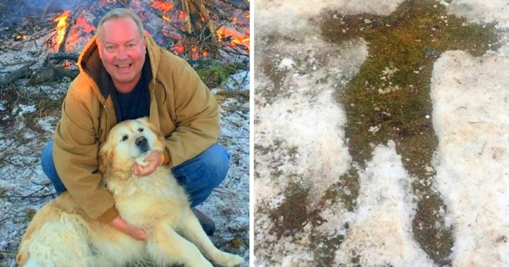 Golden Retriever Lay By Unconscious Owner For 20 Hours Saving His Life